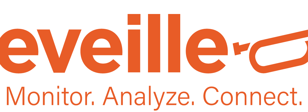 Reveille Software Drives Strong 2024 Momentum with Unprecedented Growth
